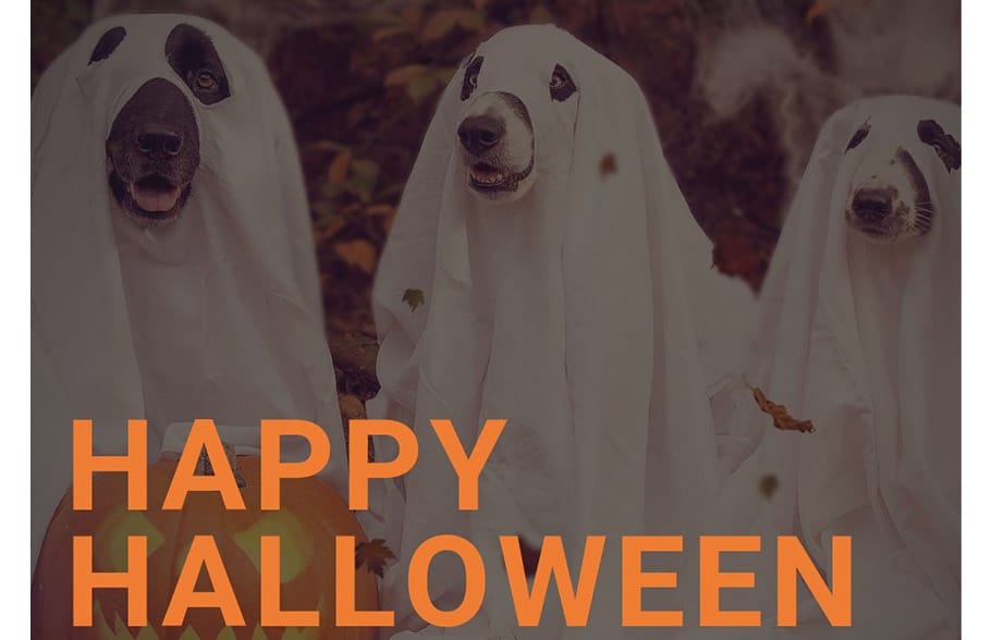 Does Crime REALLY Spike On Halloween? Surprising Facts About Danger to Your Home