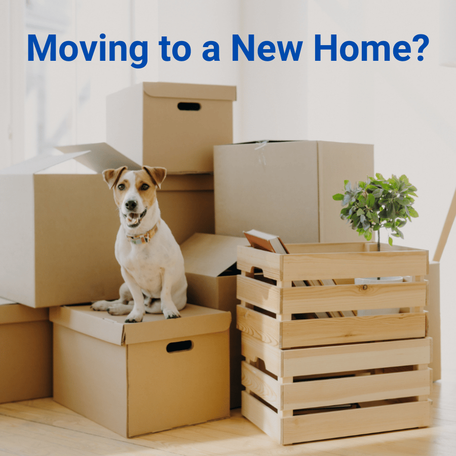 Customer Newsletter – August 2022