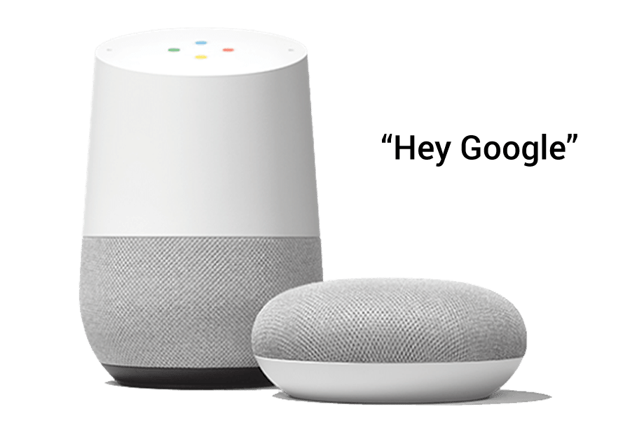 Google and Alexa Security Controls