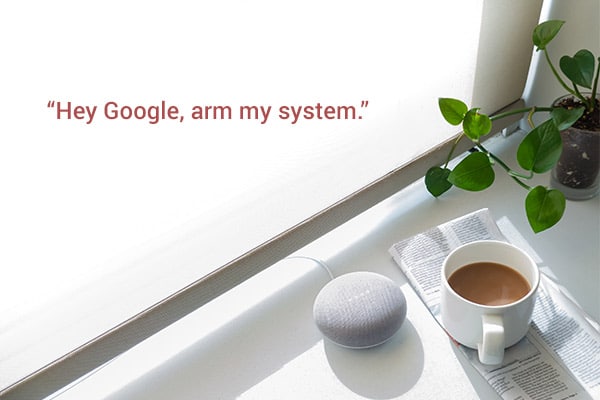 Control Your Security With Google Home and Alexa